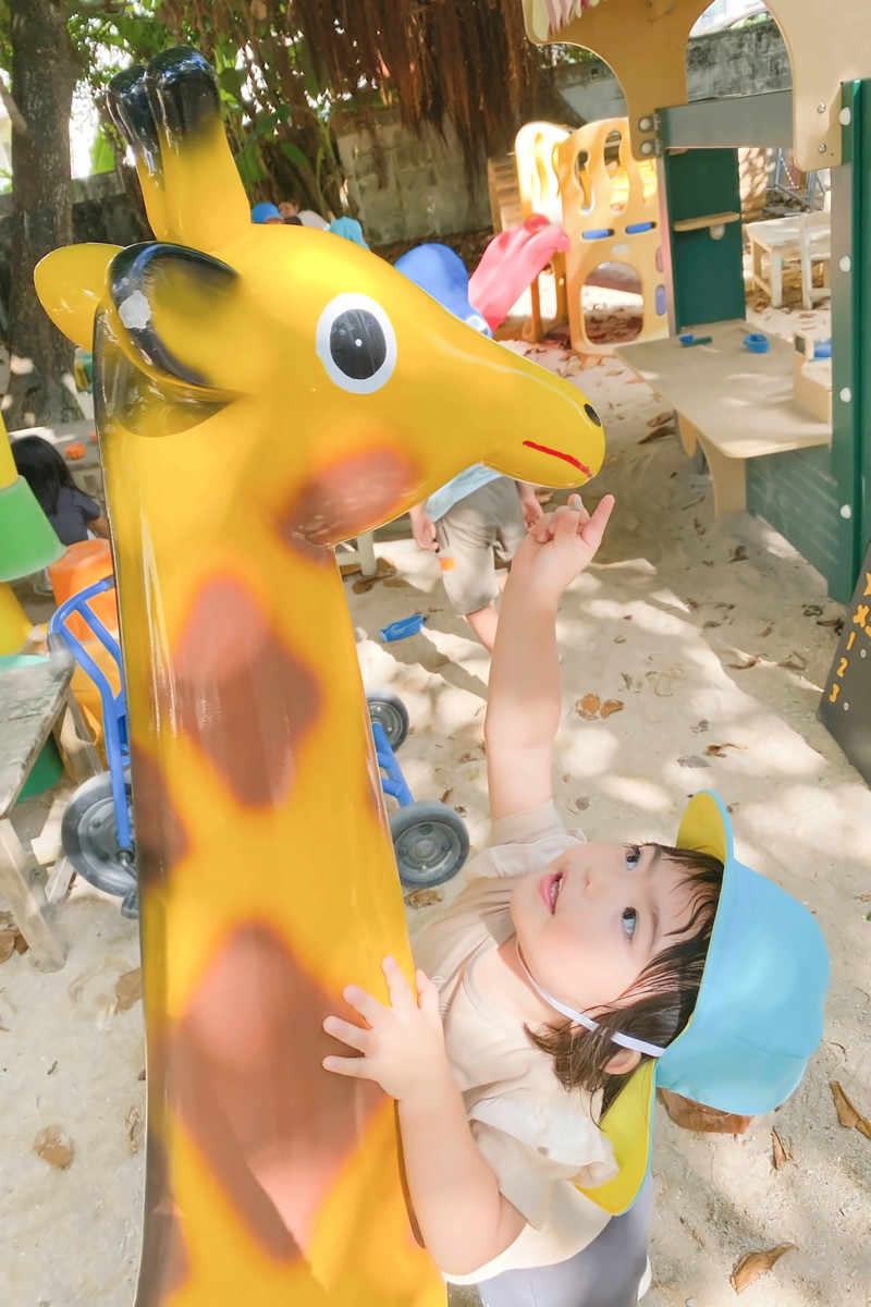 一日の流れ