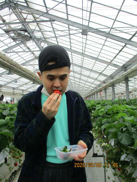 グリーンハウス西原 いちご狩り