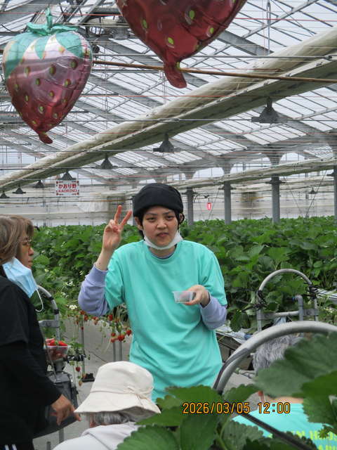 グリーンハウス西原 いちご狩り