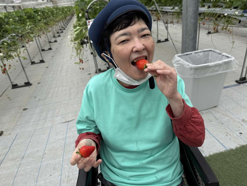 グリーンハウス西原 いちご狩り
