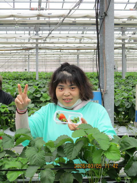 グリーンハウス西原 いちご狩り