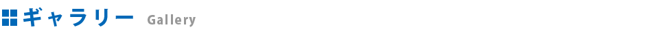 ギャラリー