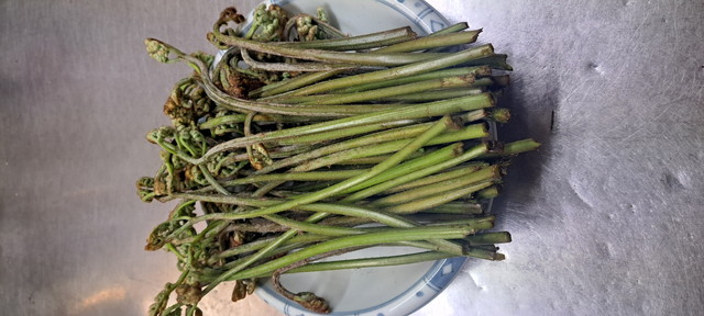 山菜のシーズン1