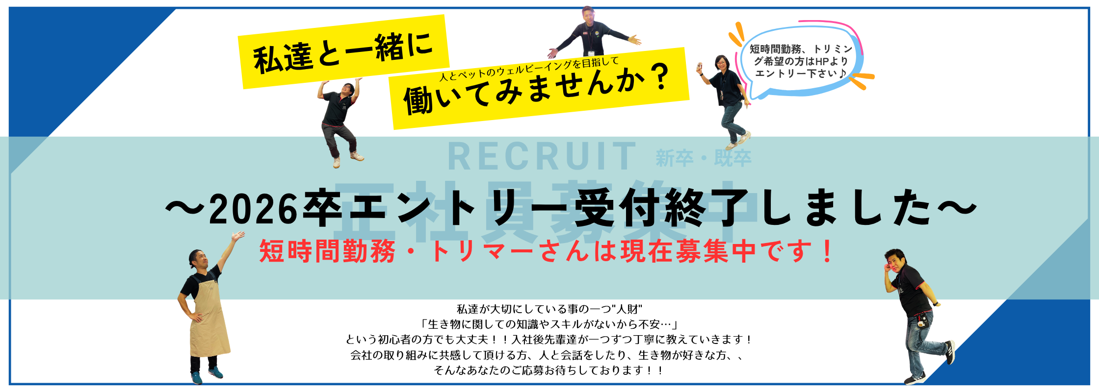 採用情報