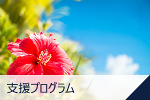 支援プログラム