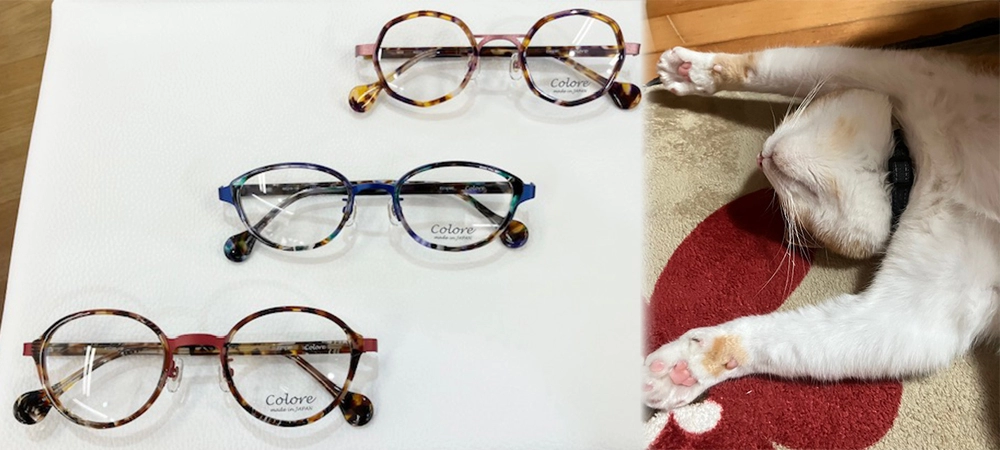 メガネは野口屋