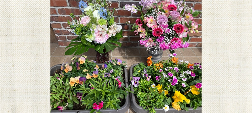 メガネは野口屋