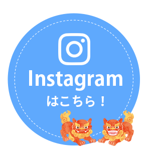 Instagramの固定ボタン