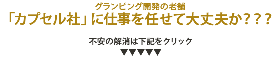 グランピング開発の老舗「カプセル社」に仕事を任せて大丈夫か？？？不安の解消は下記をクリック▼▼▼▼▼