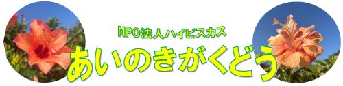 あいのき学童｜今帰仁村にあるNPO法人ハイビスカスが運営する学童保育所