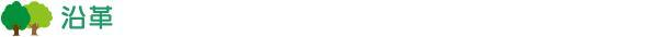 沿革