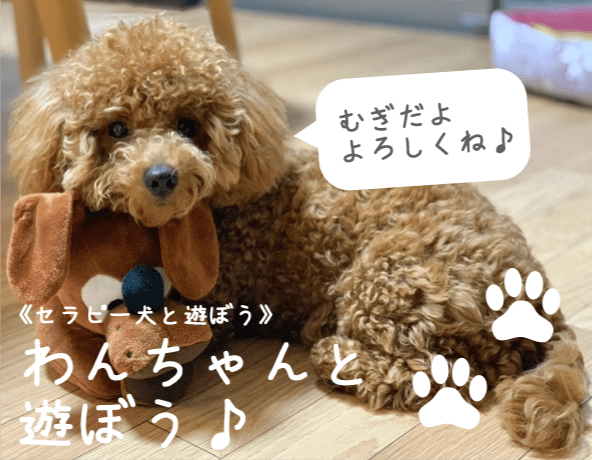 動物とのふれあい