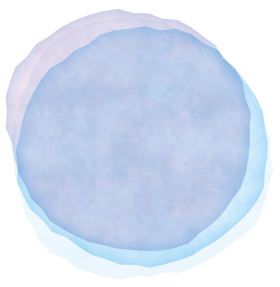 実体験を通し「なぜだろう」と自分で考える子