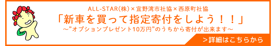 新車を買ってのオプション寄付