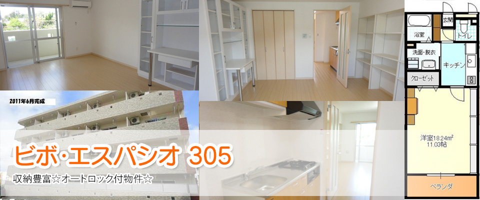 ビボ・エスパシオ305