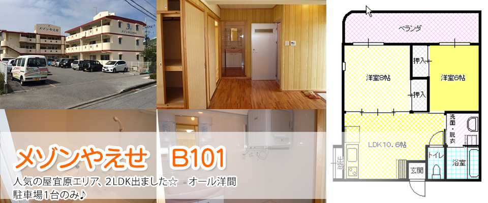メゾンやえせ B101