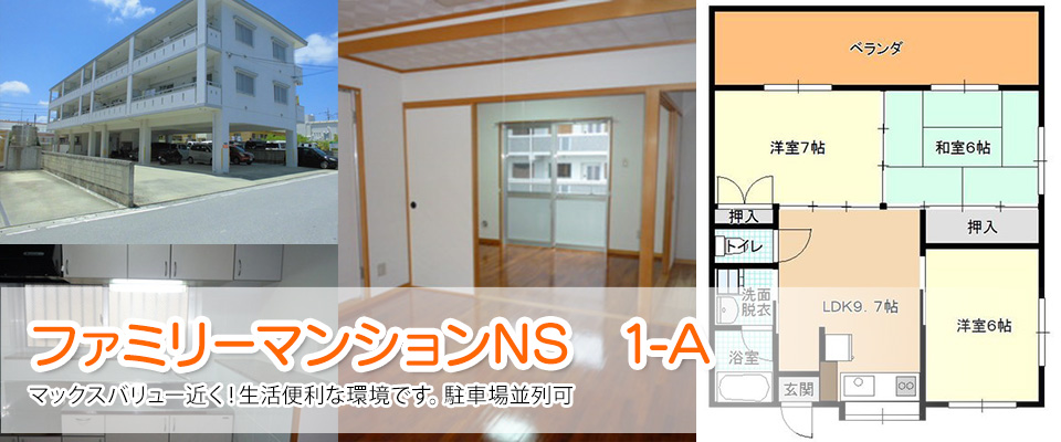 ファミリーマンションNS　1-A