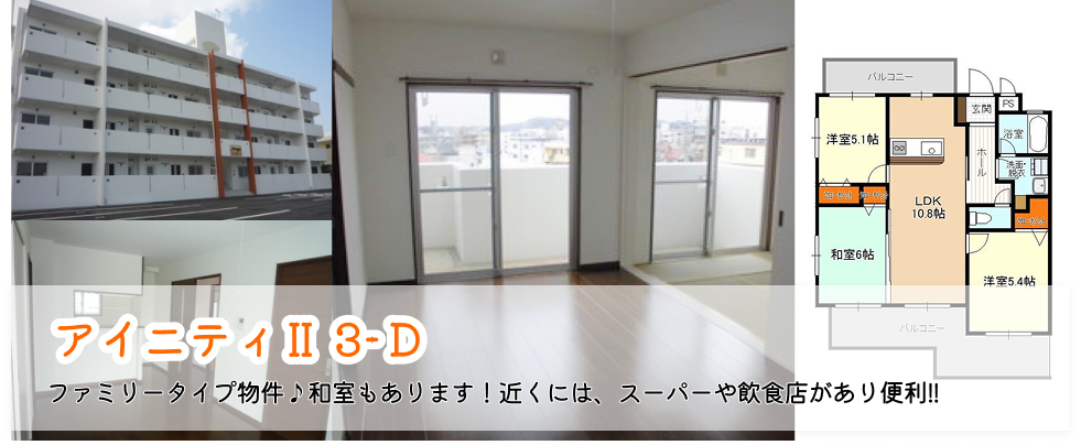 アイニティⅡ3-D