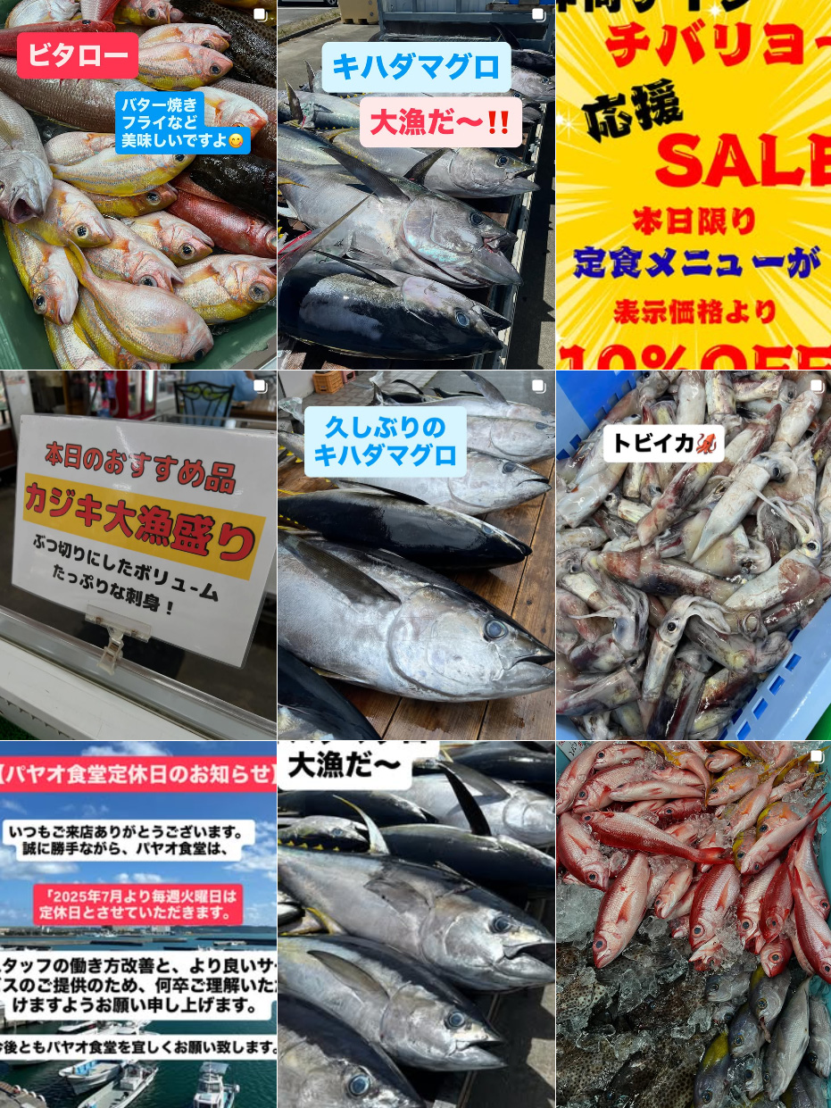 インスタグラムも更新中！