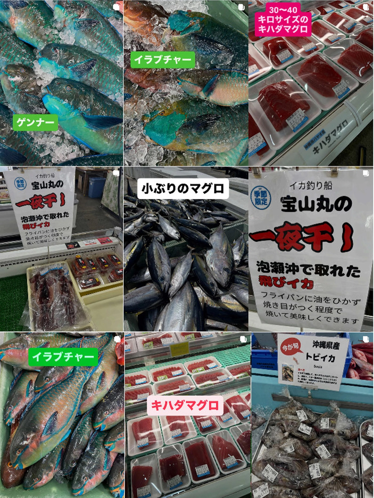 インスタグラムも更新中！
