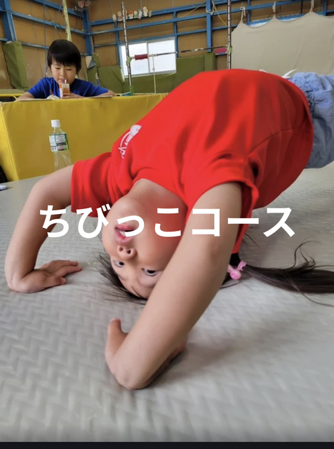 ちびっこコース