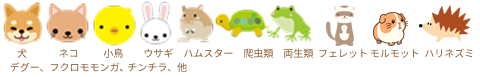 あかね動物病院 取り扱い動物