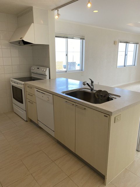 Single house in front of Awase sea wall