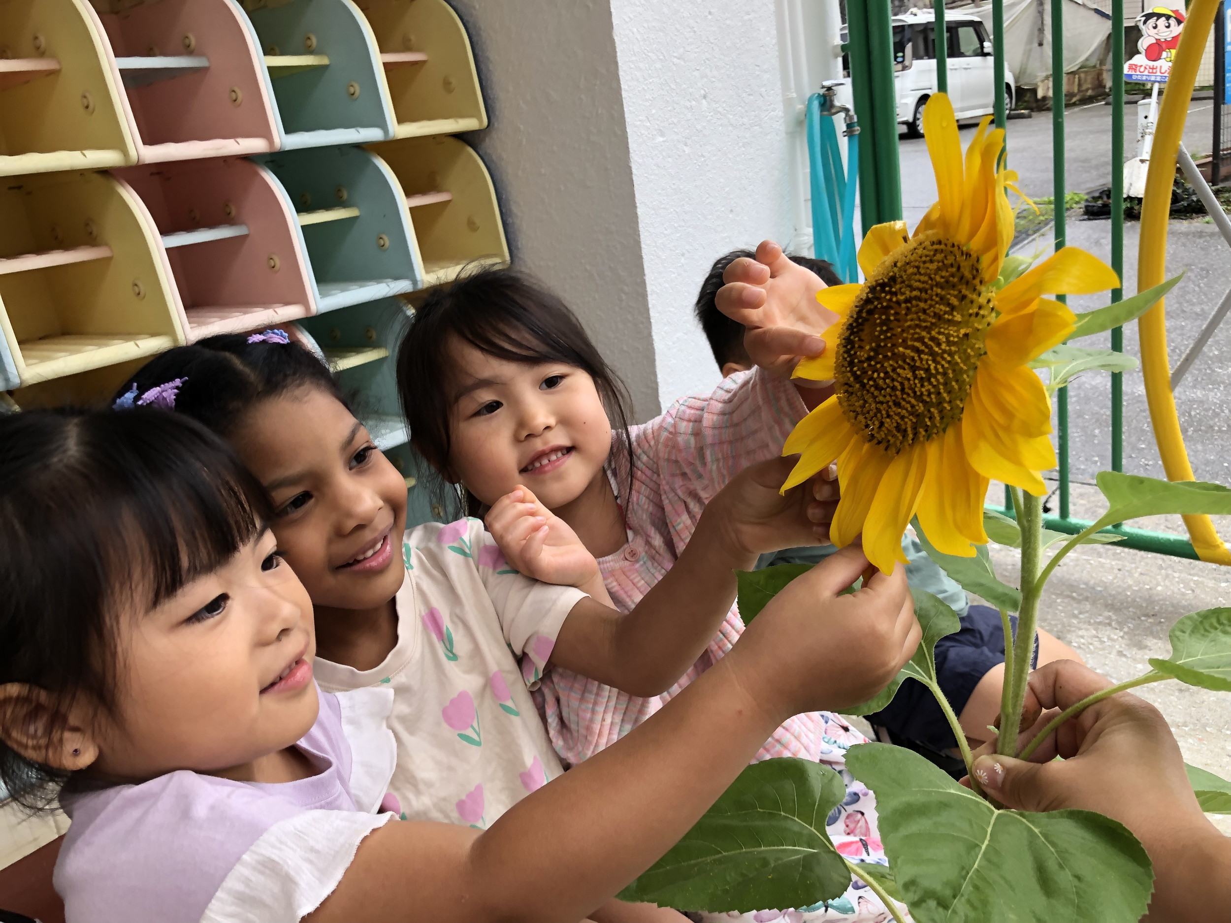 ひだまり認定こども園