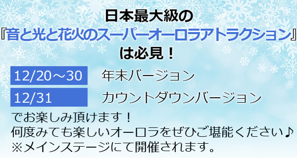 音と光と花火のスーパーオーロラアトラクション