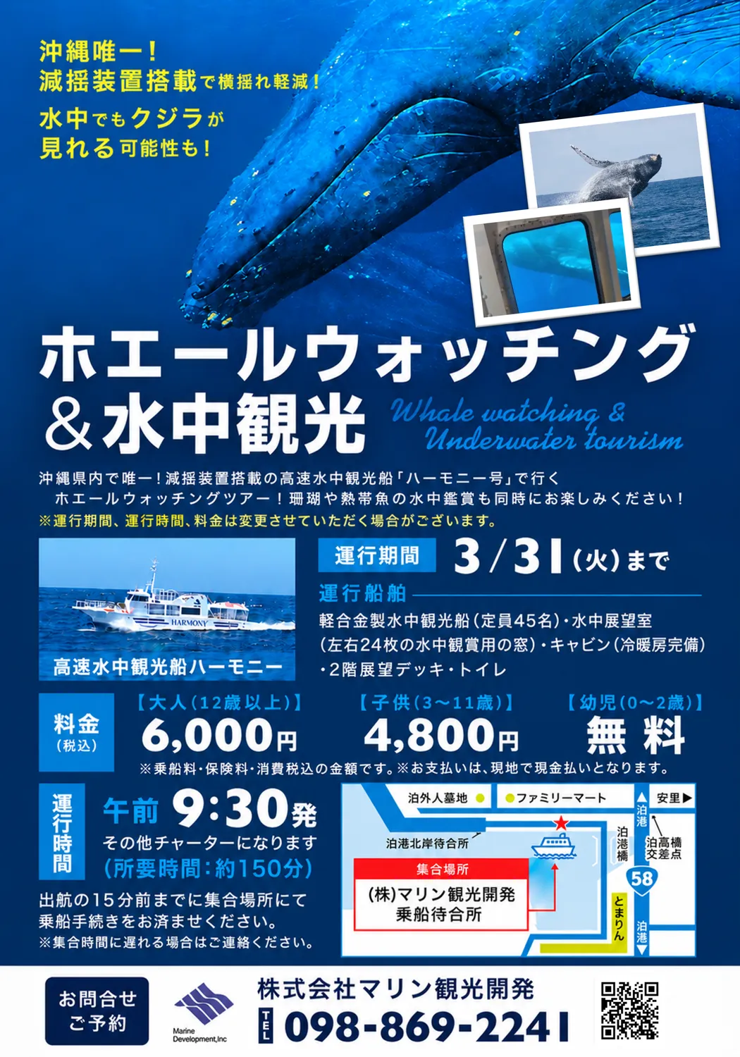 ホエールウォッチング＆水中観光