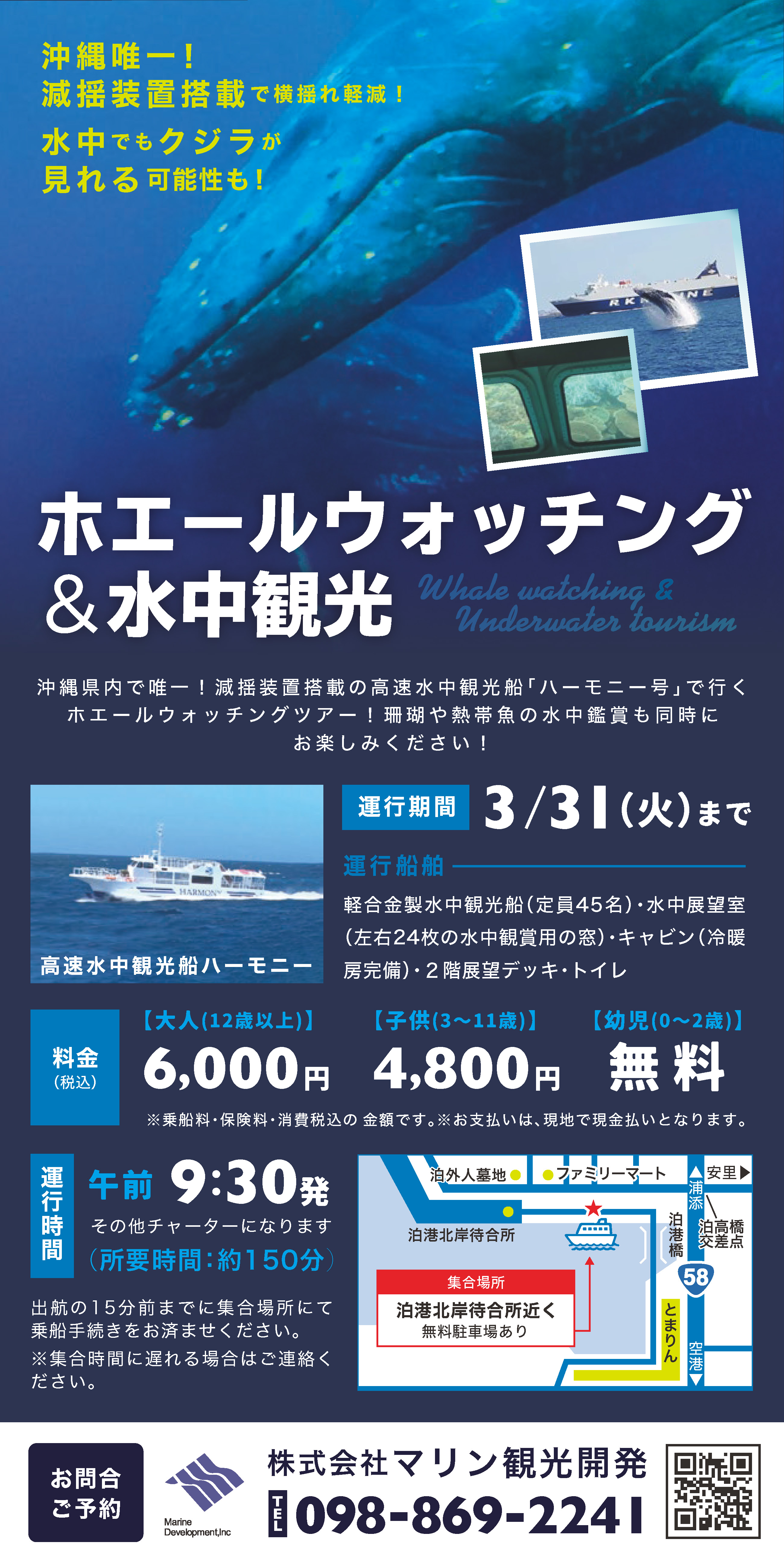 ホエールウォッチング