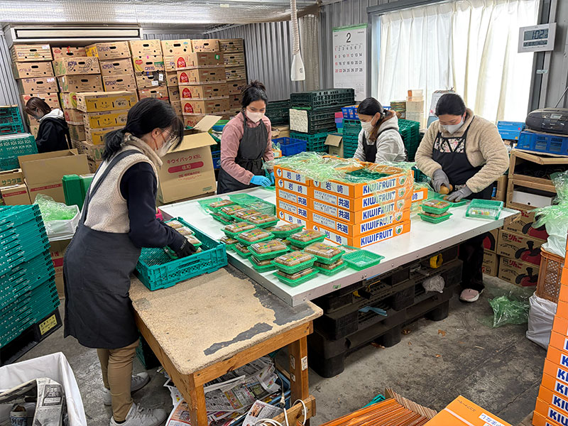 パッキング工場の日常
