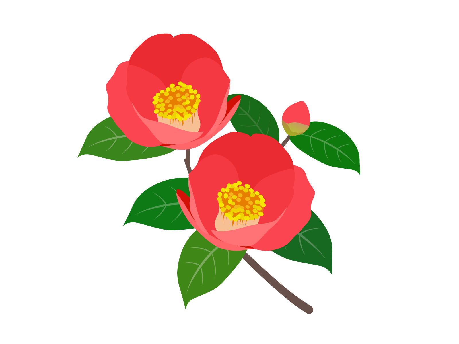 2026年1月のお客様