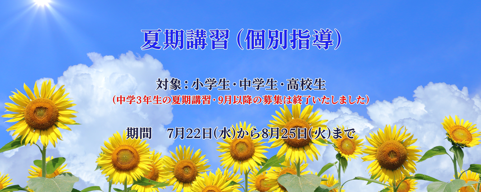 夏期講習（個別指導） 対象：小学生・中学生・高校生　期間　7月22日(水)から8月25日(火)まで　（中学3年生の夏期講習・9月以降の募集は終了いたしました）