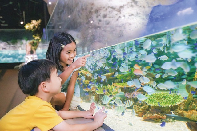 DMMかりゆし水族館