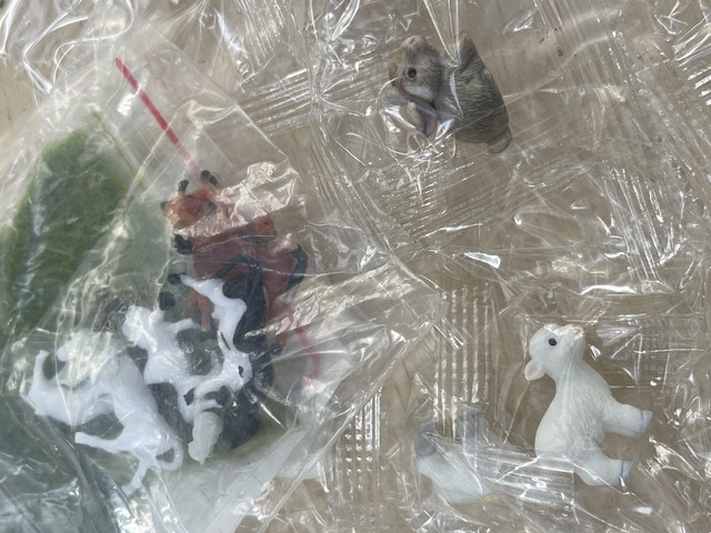 ミニ苔テラリウムの見本2