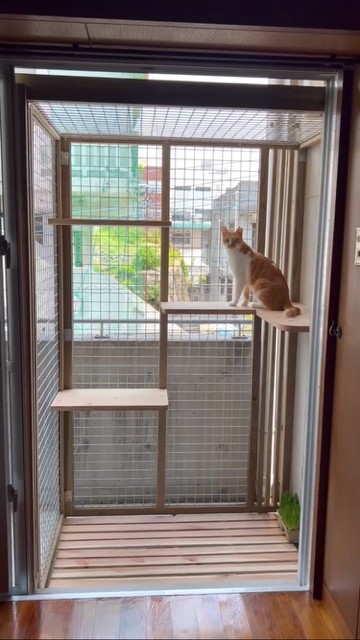 のんびり日向箱