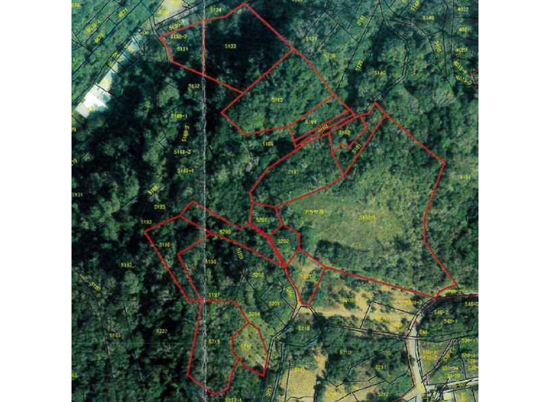 今帰仁村今泊土地