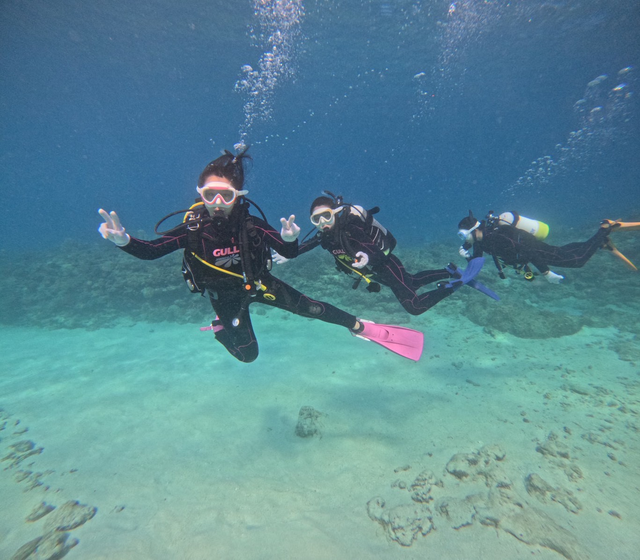 明瞭会計でしっかり習得