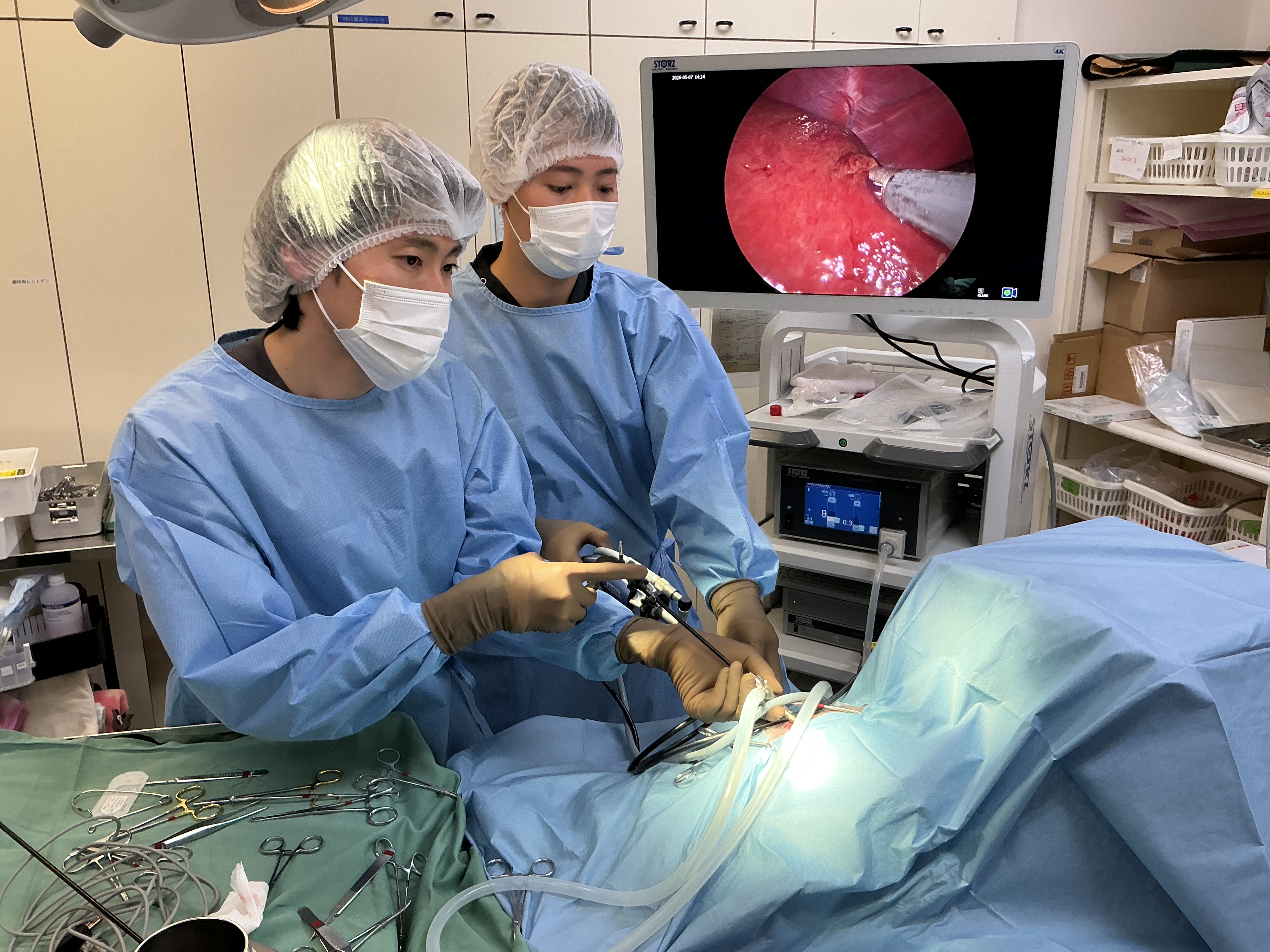 腹腔鏡手術のメリット｜精密な手術