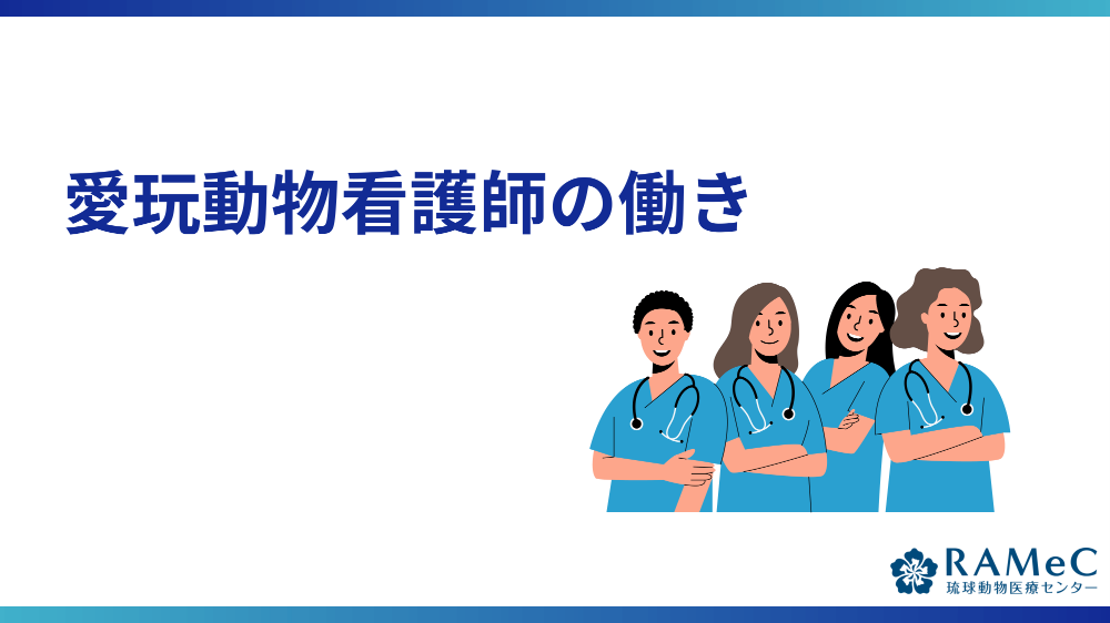 愛玩動物看護師の働き