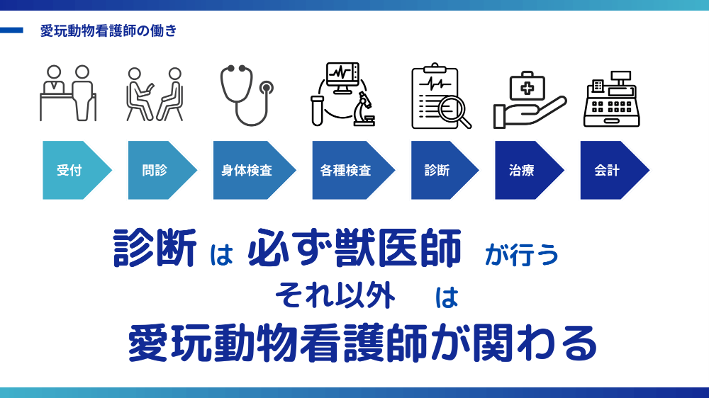 愛玩動物看護師の働き