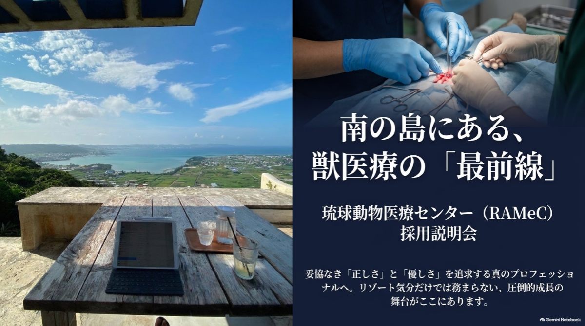 南の島にある、獣医療の「最前線」 琉球動物医療センター（RAMeC）採用説明会