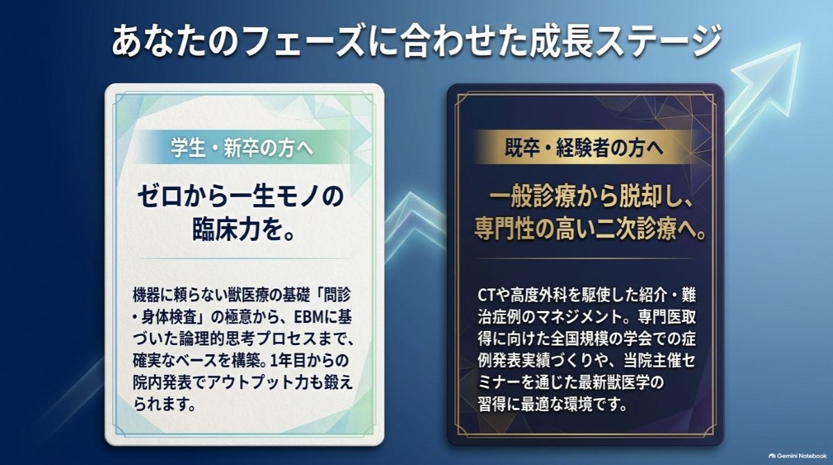 あなたのフェーズに合わせた成長ステージ