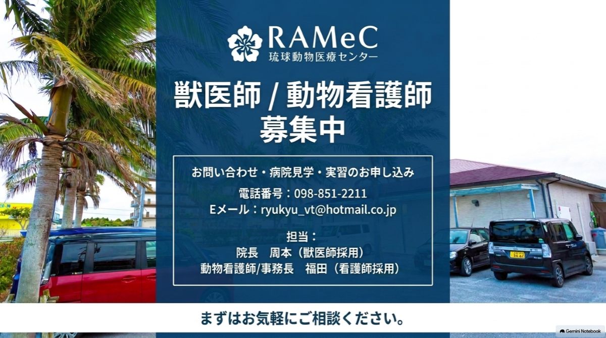 獣医師／動物看護師募集中 お問い合わせ・病院見学・実習のお申し込み 電話番号098-851-2211