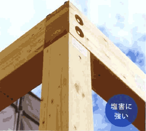 ロイヤルハウス