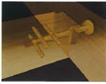 木に埋まる特殊金物の写真