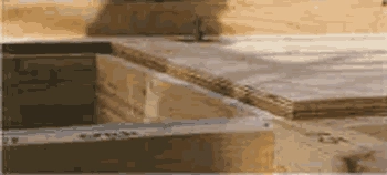 ロイヤルハウス