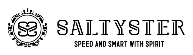 株式会社ソルティスター