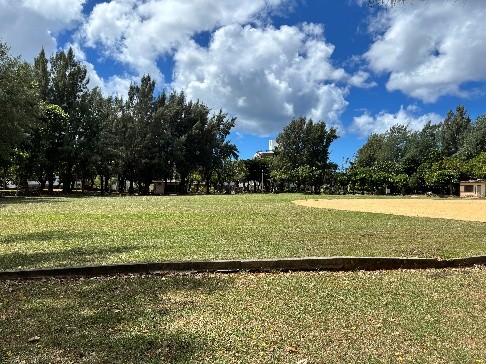 近隣公園・散歩道